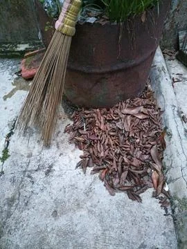 Dry leaf litter Stock Photos