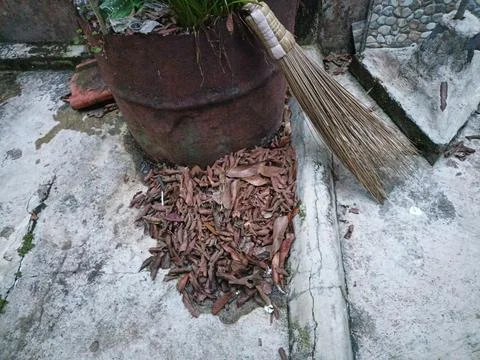 Dry leaf litter Stock Photos