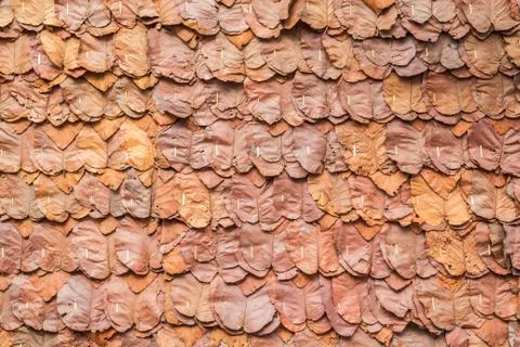 Dry leaf pattern Stock Photos