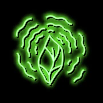 Dry leaf phytotherapy neon glow icon illustration Stock Illustration