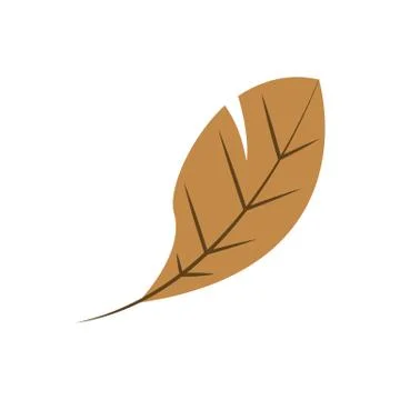 Dry Leaf Shape Vector Symbol Illustration Stock Illustration