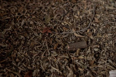 Dry leaf tea background Foto stock