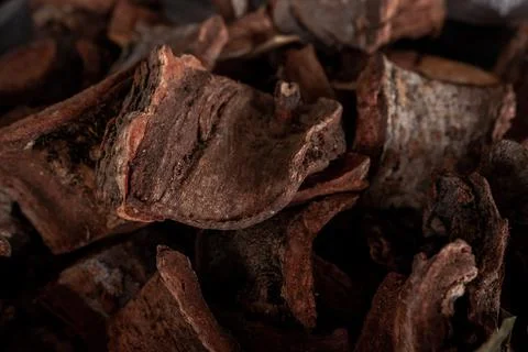 Dry leaf tea background Stock Photos