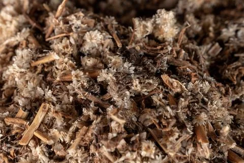 Dry leaf tea background Stock Photos