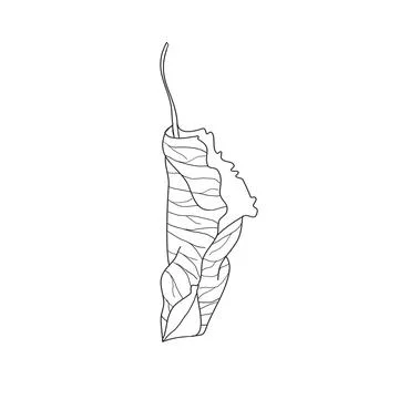 Dry Leaf Vector - Rustic and Minimalist Design Illustrazione stock