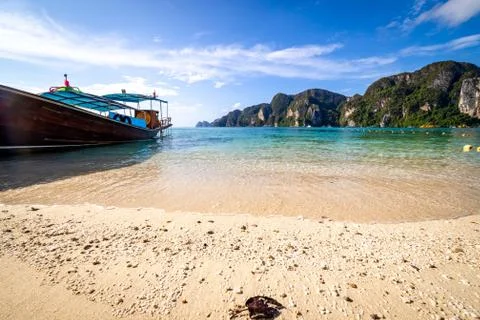 A dry leaf washed ashore a beach in Phi Phi islands. Stock Photos