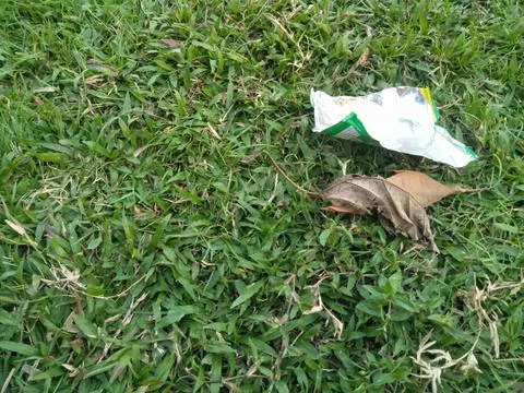 Dry leaf waste and plastic snack waste that pollutes the surrounding enviro.. Stock Photos