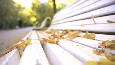 Dry leafs falling in an empty bench at the park with the wind Stock Footage 142610456