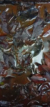 Dry leaves fall in a gutter that doesn't drain Stock-Fotos