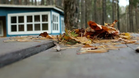 Dry leaves fall on the table against the background of wooden houses. Cabin Stock Footage 127414037