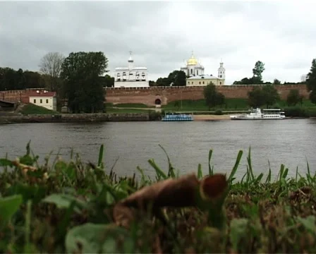 Dry leaves Stock Footage 2468476