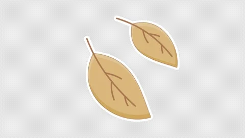 Dry leaves 스톡 동영상 336579622
