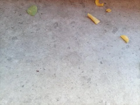 Dry leaves Photos