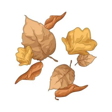 Dry leaves scattered illustration Stock Illustration