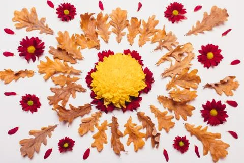 Dry leaves in the shape of a circle with red and yellow flowers in the center Stock Photos