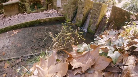 Dry leaves in the small stream's waterfall Stock Footage 103473236