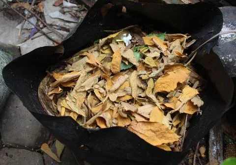 Dry leaves used to compost Stock Photos