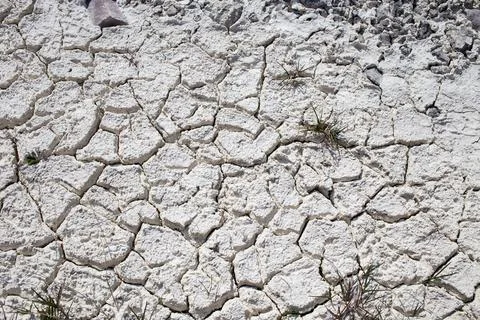Dry limestone soil. Stock Photos