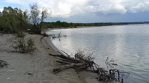 Dry logs and snags on a sandy winding bank of a wide river Stock Footage 327493261
