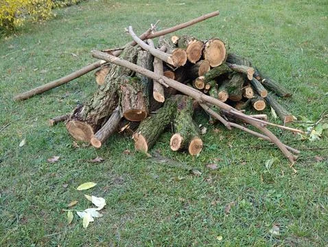Dry logs for a fire Stock Photos