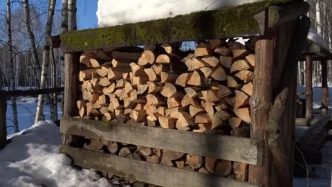 Dry logs of firewood for the fireplace Stock Footage 269736159