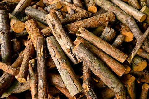 Dry logs Stock Photos