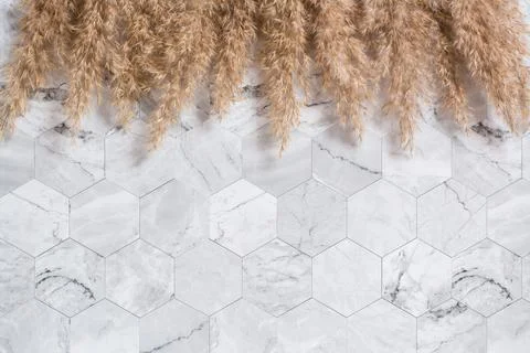 Dry lush ears framed on a marble background. Eco friendly template. Top view. Stock Photos
