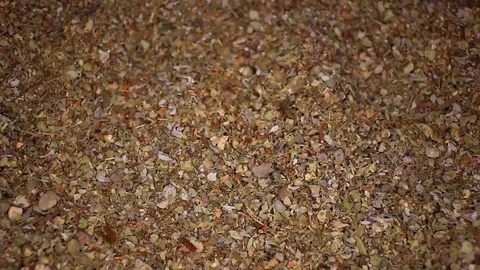 Dry majoram rotating seamless looping food texture pattern close up footage Stock Footage 103078880
