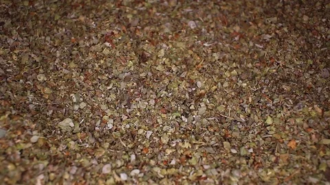 Dry majoram rotating seamless looping food texture pattern close up footage Stock Footage 103090217