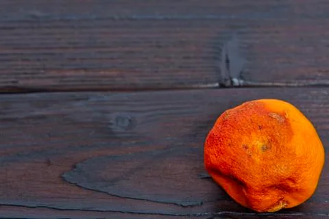 Dry mandarin on a table Stock Photos