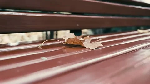 Dry maple leaf on a bench, autumn. Video stock 131154354