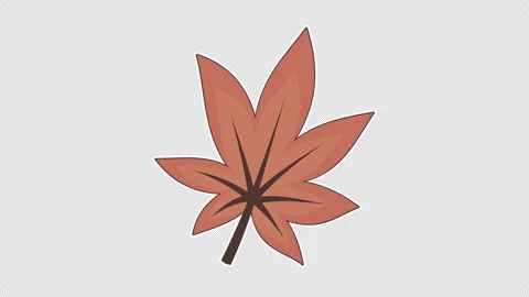 Dry maple leaf Vídeos de archivo 337352645