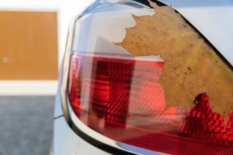 Dry maple leaf on the rear light of the car. 스톡 사진