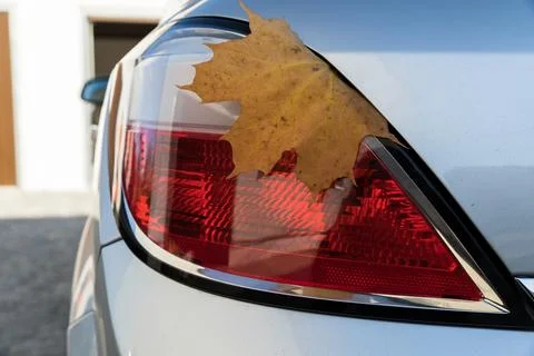 Dry maple leaf on the rear light of the car. Foto stock