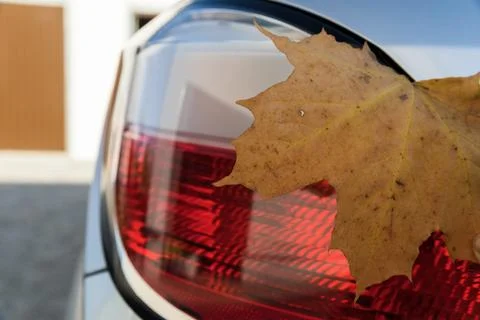 Dry maple leaf on the rear light of the car. Foto stock