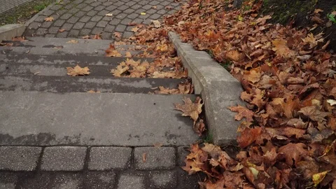 Dry maple tree leaves on a pedestrian path in autumn. Stock Footage 119236462