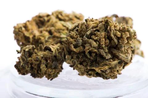 Dry marijuana bud on white background Stock Photos