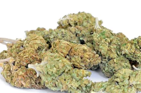 Dry marijuana buds Stock Photos