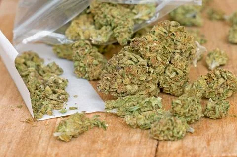 Dry marijuana buds Stock Photos
