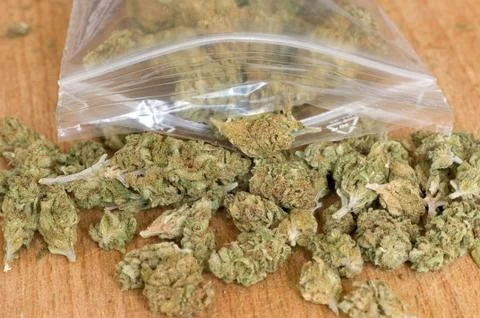Dry marijuana buds Foto stock