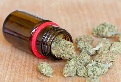 Dry marijuana buds Stock Photos