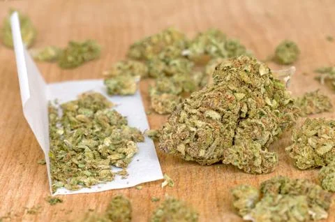 Dry marijuana buds Stock Photos