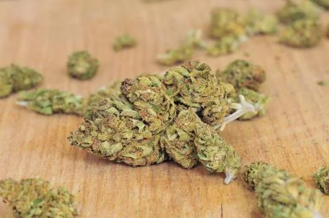 Dry marijuana buds Stock Photos