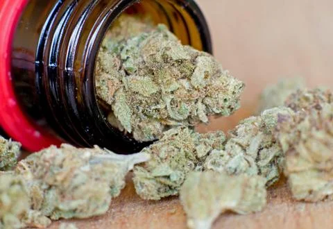 Dry marijuana buds Foto stock