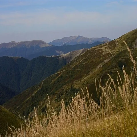 Dry meadow grass in mountains Video stock 69443747