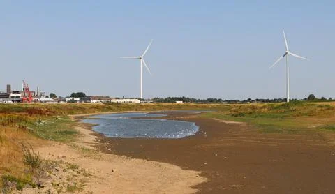 Dry meadow, next to river in summer, Arnhem, Rhine Stock Photos