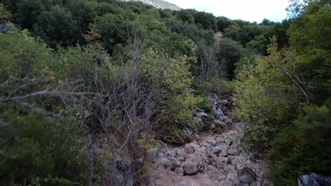 Dry Mediterranean riverbed with dense shrubs and herbs in rural Greece Video stock 321892800