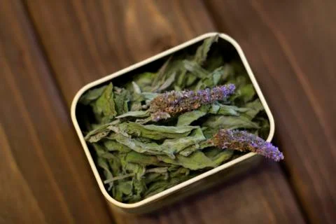 Dry mint leaves Stock Photos