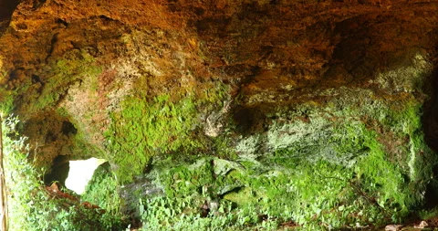 Dry Mossy on the Raw Stone Stock Footage 291912659