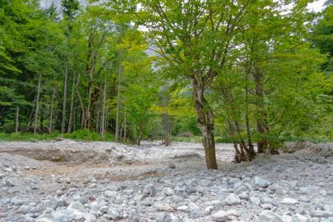 Dry mountain riverbed Stock Photos